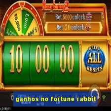 ganhos no fortune rabbit